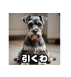 ミニチュアシュナウザーは毎日過ごす（個別スタンプ：34）