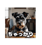 ミニチュアシュナウザー大好きスタンプ（個別スタンプ：14）