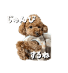 2025 ver. Pomme ＆ Belle（個別スタンプ：13）