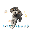 2025 ver. Pomme ＆ Belle（個別スタンプ：19）