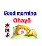 英語と日本語（ローマ字発音付き）連絡用（個別スタンプ：1）