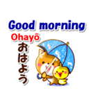 英語と日本語（ローマ字発音付き）連絡用（個別スタンプ：3）