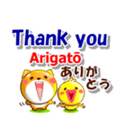 英語と日本語（ローマ字発音付き）連絡用（個別スタンプ：5）