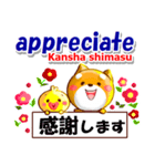 英語と日本語（ローマ字発音付き）連絡用（個別スタンプ：8）