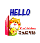 英語と日本語（ローマ字発音付き）連絡用（個別スタンプ：9）