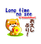 英語と日本語（ローマ字発音付き）連絡用（個別スタンプ：12）
