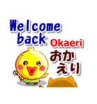 英語と日本語（ローマ字発音付き）連絡用（個別スタンプ：24）