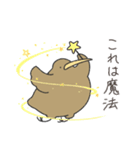 とにかくふざけているキーウィ3（個別スタンプ：7）