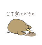 とにかくふざけているキーウィ3（個別スタンプ：16）