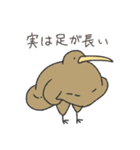 とにかくふざけているキーウィ3（個別スタンプ：21）