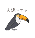 とにかくふざけているキーウィ3（個別スタンプ：40）