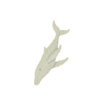 幻想的なクジラ（個別スタンプ：35）