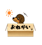 まろダックスフントの日常スタンプ（個別スタンプ：1）