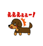 まろダックスフントの日常スタンプ（個別スタンプ：13）