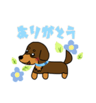 まろダックスフントの日常スタンプ（個別スタンプ：16）