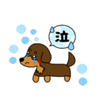 まろダックスフントの日常スタンプ（個別スタンプ：20）