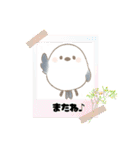 『シマエナガ』のスタンプ（個別スタンプ：16）