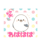 『シマエナガ』のスタンプ（個別スタンプ：20）