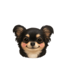 ブラックタンのチワワうめちゃん（個別スタンプ：1）
