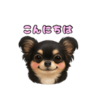 ブラックタンのチワワうめちゃん（個別スタンプ：3）