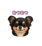 ブラックタンのチワワうめちゃん（個別スタンプ：7）