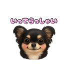 ブラックタンのチワワうめちゃん（個別スタンプ：8）