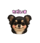 ブラックタンのチワワうめちゃん（個別スタンプ：9）