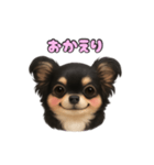 ブラックタンのチワワうめちゃん（個別スタンプ：10）