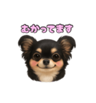 ブラックタンのチワワうめちゃん（個別スタンプ：12）