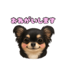 ブラックタンのチワワうめちゃん（個別スタンプ：14）