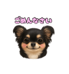 ブラックタンのチワワうめちゃん（個別スタンプ：16）