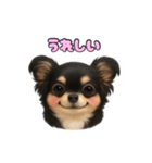 ブラックタンのチワワうめちゃん（個別スタンプ：20）
