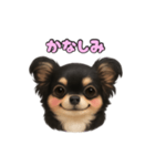 ブラックタンのチワワうめちゃん（個別スタンプ：21）