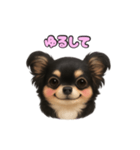 ブラックタンのチワワうめちゃん（個別スタンプ：22）