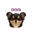 ブラックタンのチワワうめちゃん（個別スタンプ：25）