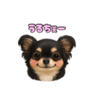 ブラックタンのチワワうめちゃん（個別スタンプ：27）