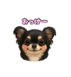 ブラックタンのチワワうめちゃん（個別スタンプ：28）