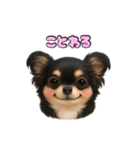 ブラックタンのチワワうめちゃん（個別スタンプ：30）