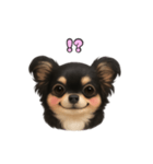 ブラックタンのチワワうめちゃん（個別スタンプ：32）