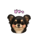 ブラックタンのチワワうめちゃん（個別スタンプ：34）