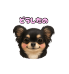 ブラックタンのチワワうめちゃん（個別スタンプ：35）