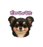 ブラックタンのチワワうめちゃん（個別スタンプ：36）