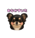 ブラックタンのチワワうめちゃん（個別スタンプ：37）