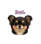 ブラックタンのチワワうめちゃん（個別スタンプ：38）