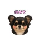 ブラックタンのチワワうめちゃん（個別スタンプ：39）