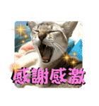 我が家のコジロウ（個別スタンプ：6）