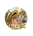 我が家のコジロウ（個別スタンプ：24）