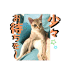 我が家のコジロウ（個別スタンプ：30）