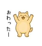 ばんざいアニマルず（個別スタンプ：22）