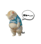 nikoponpon（個別スタンプ：6）